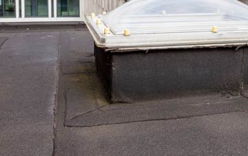 disadvantages of Pen Yr Englyn flat roofs