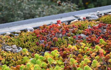 the cost of Pen Yr Englyn green roof installation