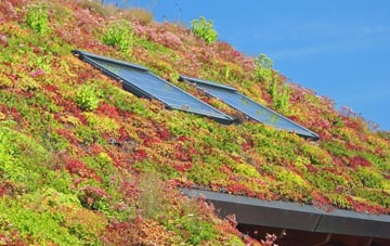 Pen Yr Englyn living roof systems