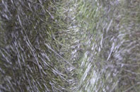 Pen Yr Englyn fibreglass roof work